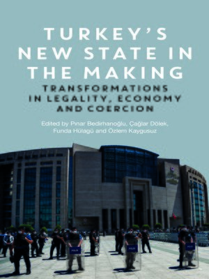 cover image of Turkey's New State in the Making